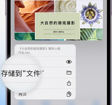 裕安apple维修中心分享iPhone文件应用中存储和找到下载文件