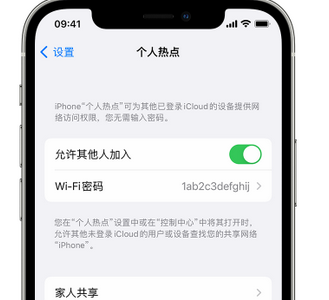 裕安apple服务站点分享iPhone上个人热点丢失了怎么办 