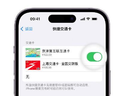 裕安apple维修点分享iPhone上更换Apple Pay快捷交通卡手绘卡面 