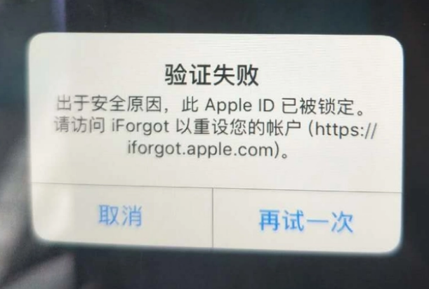 裕安iPhone维修分享iPhone上正常登录或使用AppleID怎么办 