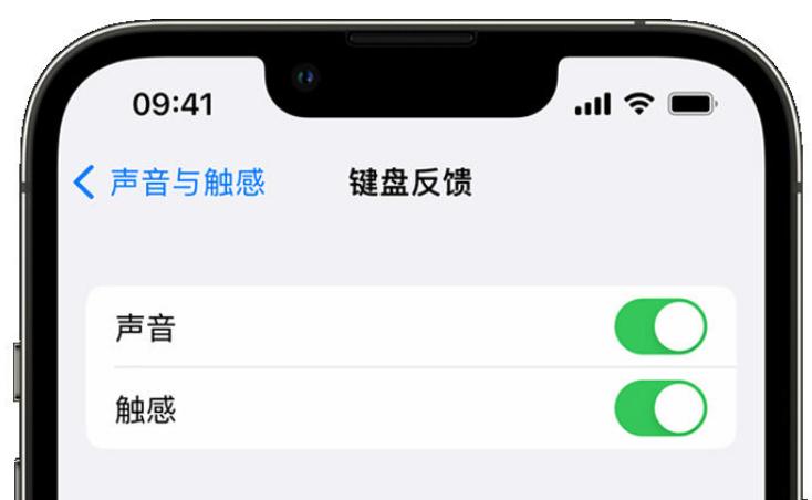 裕安苹果手机维修分享iPhone 14触感键盘使用方法 