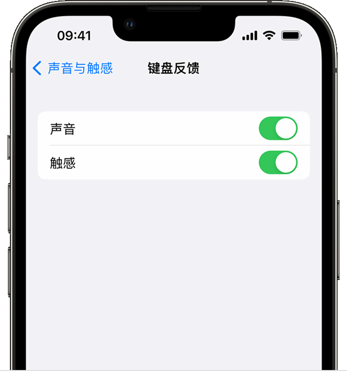 裕安苹果14维修店分享如何在 iPhone 14 机型中使用触感键盘 