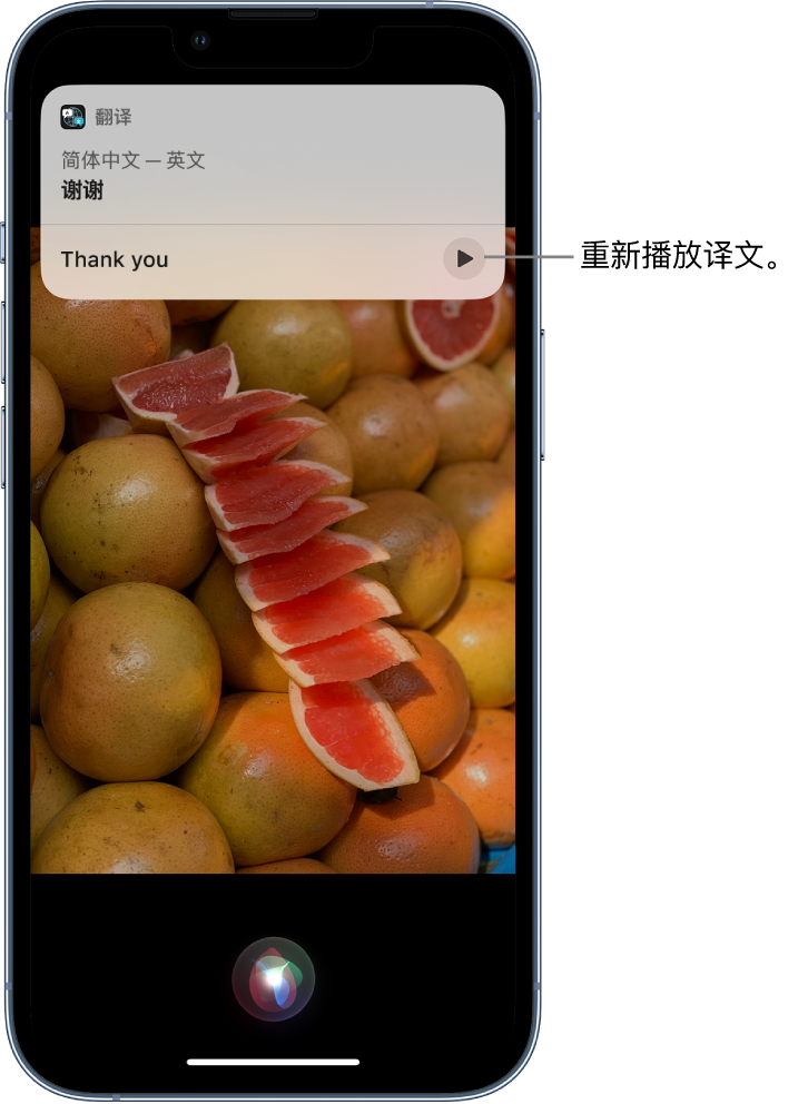 裕安苹果14维修分享 iPhone 14 机型中使用 Siri：了解 Siri 能帮你做什么 