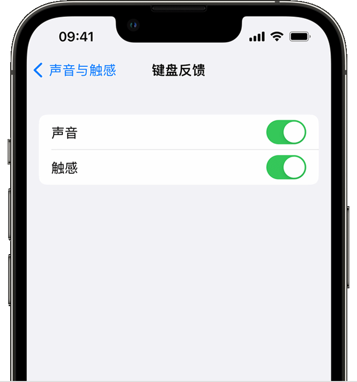 裕安苹果14维修分享iPhone 14 系列机型如何开启键盘声音或触感反馈 