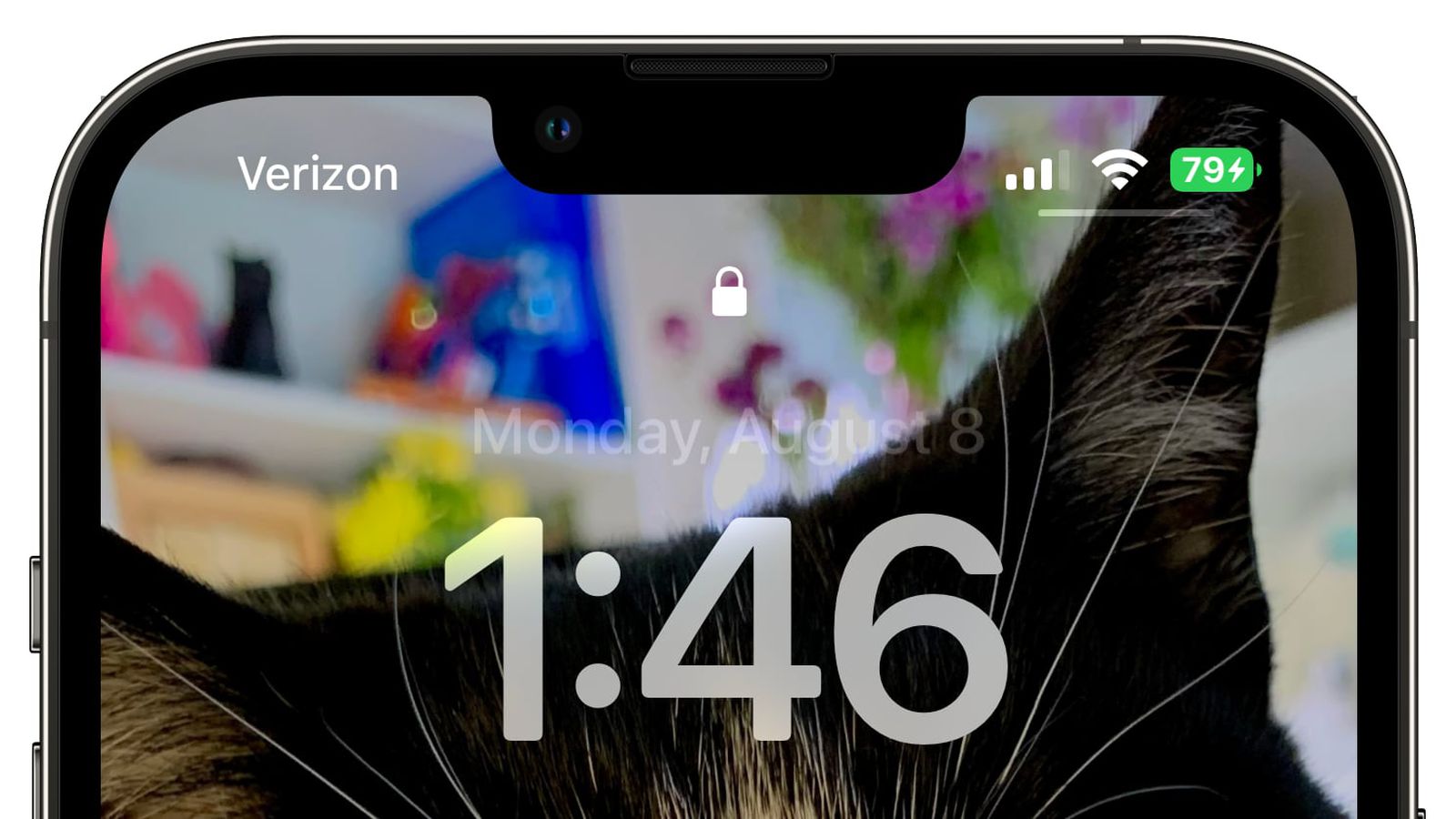裕安苹果手机维修分享iOS 16 beta 5 支持状态栏显示电池百分比，如何开启？支持哪些机型 