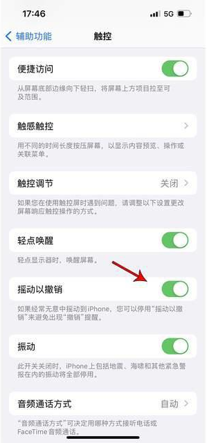 裕安苹果手机维修分享iPhone手机如何设置摇一摇删除文字 