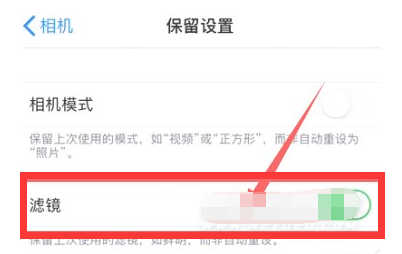 裕安苹果13维修分享iPhone13拍照有绿点是怎么回事 