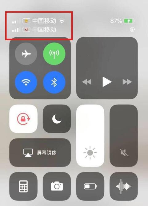 裕安苹果手机维修分享为 iPhone 12 双卡设置标签 
